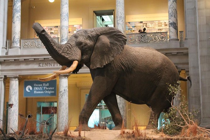 Day Tour Nairobi Museum, Giraffe Centre & Nairobi National Park - The guides matter, and the past feedback is a good sign