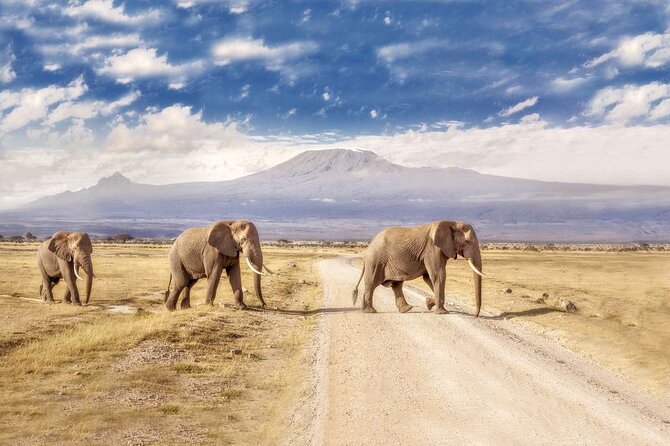 Day Tour to Amboseli National Park - Key Things That Make This Amboseli Day Tour Worth It