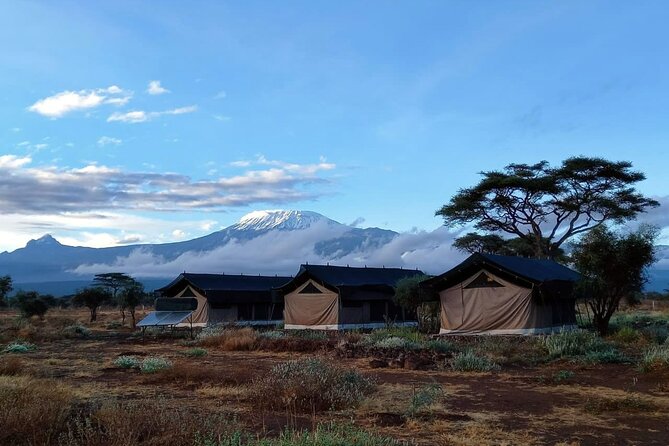 Day Tour to Amboseli National Park from Nairobi - Who this Amboseli day trip is best for