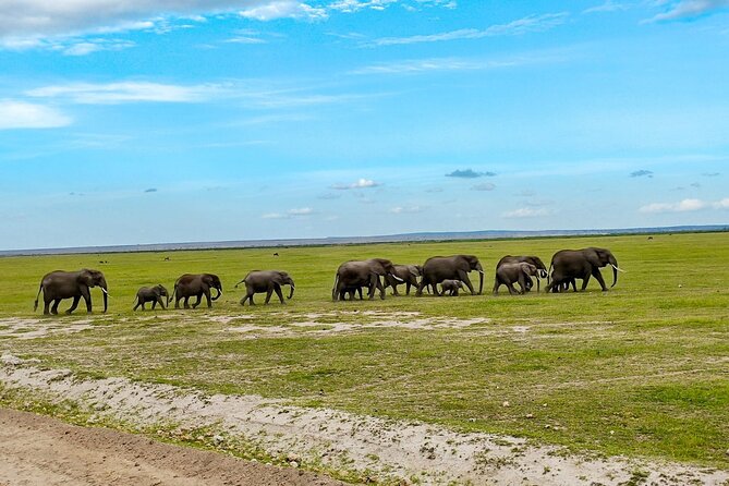 Day Tour To Amboseli National Park From Nairobi - Pickup at 5:00 am and the Nairobi-Mombasa highway run