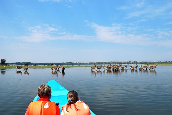 Day Tour To Hell's Gate National Park and Optional Boat Ride on Lake Naivasha. - Lake Naivasha boat ride: hippos, fish eagle, and bird viewing