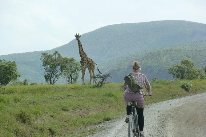 Day tour to Hells Gate, Lake Naivasha and Crescent Island Walk - Lake Naivasha boat ride: birds explained and hippos spotted