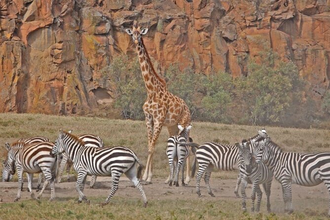 Day tour to Hells Gate, Lake Naivasha and Crescent Island Walk - Crescent Island walk at 2 pm: a walking safari with real closeness