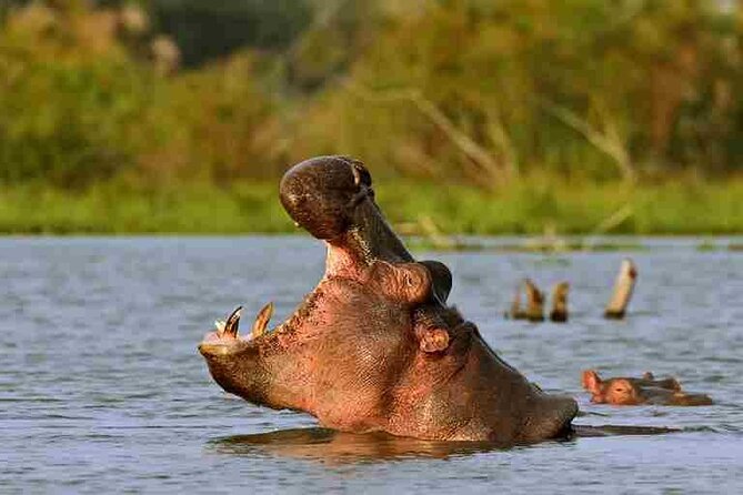 Day tour to Hells Gate, Lake Naivasha and Crescent Island Walk - The “8 to 10 hours” reality: what to expect from the full schedule