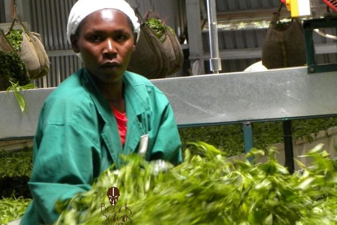 Day Tour To Kiambethu Tea Farm in Limuru - Kiambethu Tea Farm: What You’ll Actually See