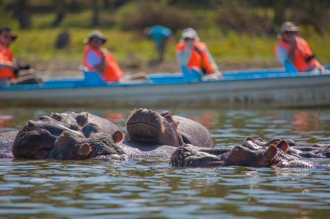 Day Tour to Lake Naivasha, Hell's Gate and Spa - Price and Value Math: What $130 Covers, and What You Should Budget Extra