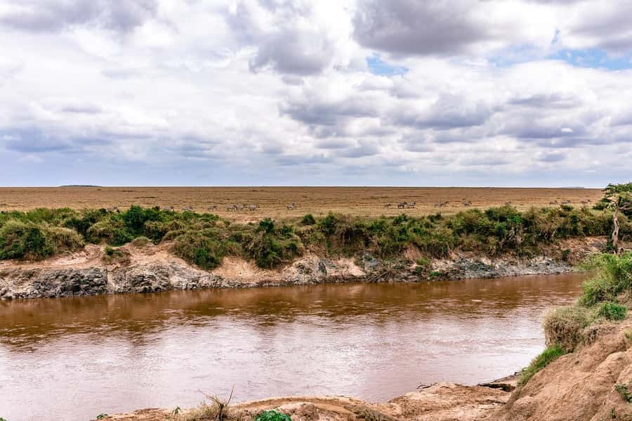 Day Tour to Maasai Mara & optional Maasai village visit - Sekenani Gate to the Mara River: where the action tends to cluster
