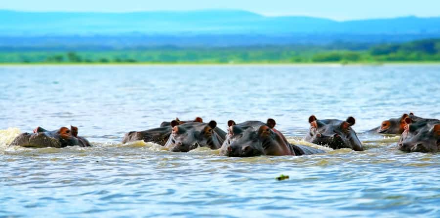 Day Tour To Mount Longonot Park From Nairobi - Drive time, stamina, and how to pack for this exact day