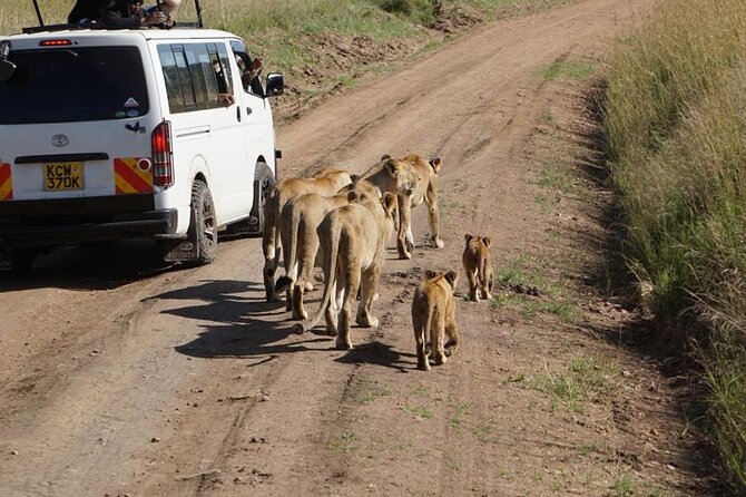 Day Tour to Nairobi National Park and Giraffe Center - Nairobi’s final time slot: plan your break before the ride back