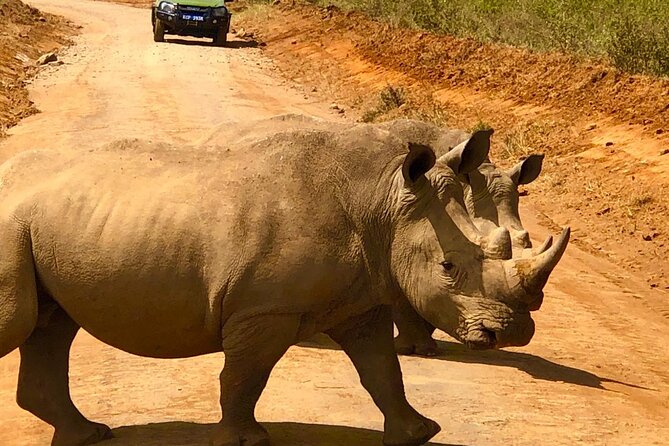 Day Tour to Nairobi National Park and Giraffe Center - Who this mini safari day trip suits best