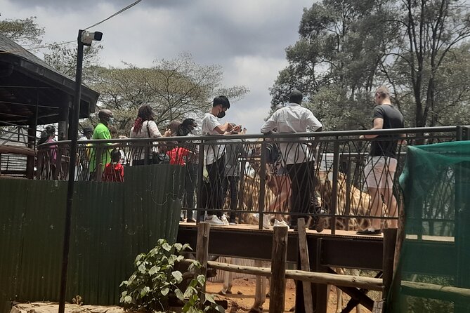 Day Tour to Nairobi national park, Elephants, and Giraffe Center - Price and value: what $52 really means