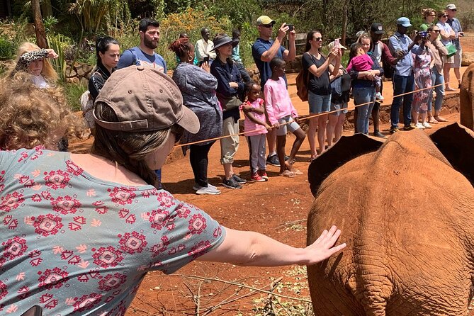 Day Tour to Nairobi national park, Elephants, and Giraffe Center - Practical tips that improve your odds of a great day