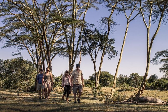 Day Tour to Ol Pejeta Conservancy - Serena Sweetwaters Lodge: the watering hole break that makes the day work