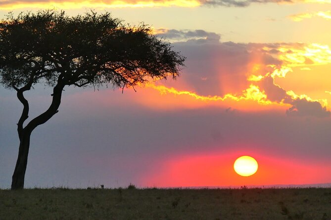 Day Tour to Tsavo East National Park from Mombasa or Diani - Lunch at Voi Safari Lodge: the pause that helps you enjoy the afternoon