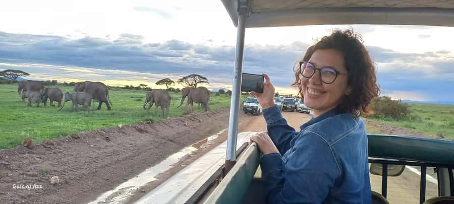 DAY TRIP AMBOSELI NATIONAL PARK FROM NAIROBI BUDGET SAFARI. - Key Highlights You Will Actually Care About