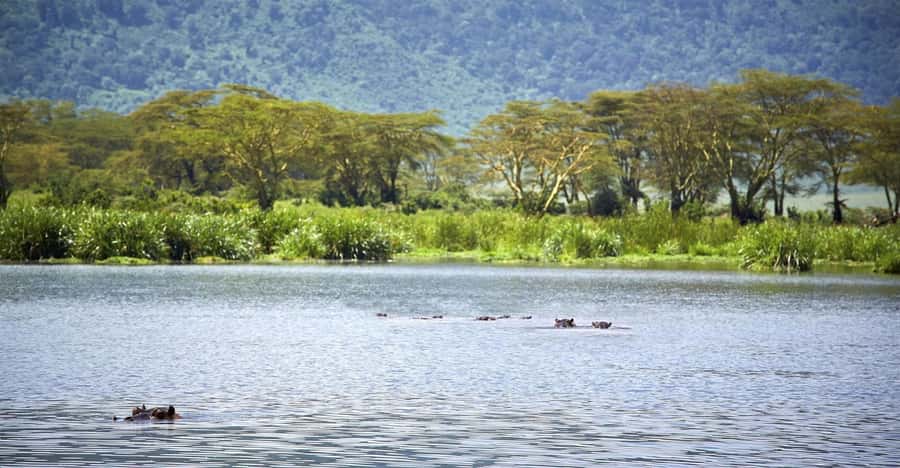 Day Trip: Hell's Gate Bike Ride & Lake Naivasha Boat Ride - Timing, pacing, and Nairobi traffic: how to avoid a fried day