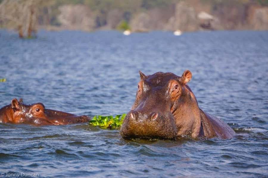Day trip lake Naivasha and Hells gate - Price and logistics: what the $55 really becomes
