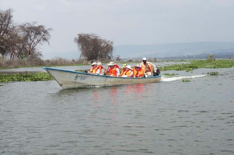Day trip lake Naivasha and Hells gate - Pickup, timing, and the one real risk worth planning for