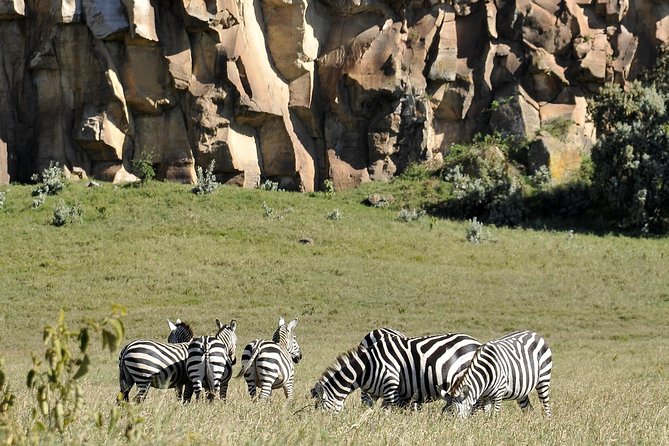 Day Trip To Crescent Island And Hells Gate National Park - Who should book this trip, and who should think twice