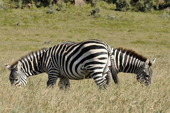 Day Trip To Crescent Island And Hells Gate National Park - Lake Naivasha: bird-rich Rift Valley waters before the island