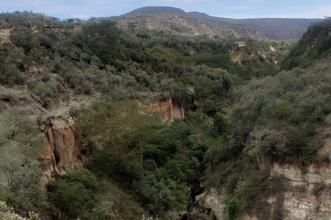 Day trip to Hells Gate National Park with boat ride on Lake Naivasha - The gorge walk: hot springs, iconic rock, and why this stop matters