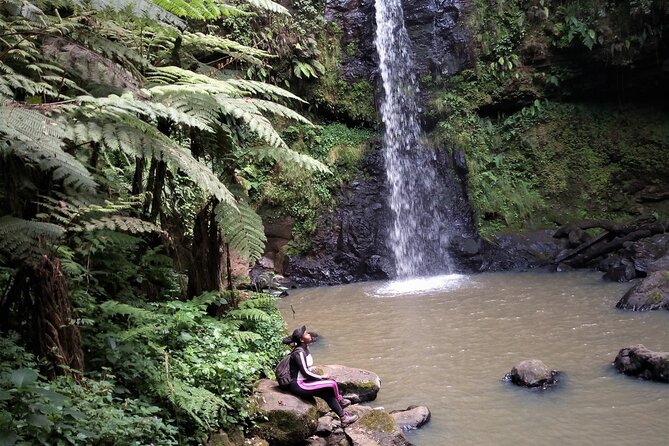 Day Trip to Kereita Forest and Ziplining - Ziplining and Other On-Site Activities: Costs and How to Choose
