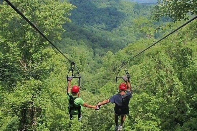 Day Trip to Kereita Forest and Ziplining - Value Check: Is $99 a Good Deal?
