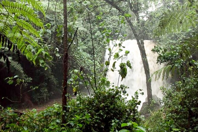 Day Trip to Kereita Forest and Ziplining - Logistics That Affect Your Comfort (Not Just Your Schedule)