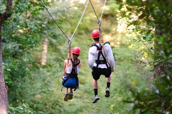 Day Trip to Kereita Forest and Ziplining - Entering Kereita Forest: Carbacid Gate, a CO2 Spring, and a Real Walk