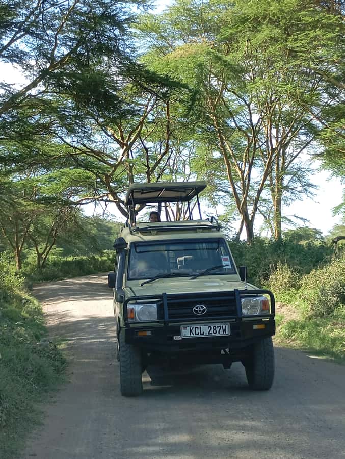 Day Trip to Lake Nakuru National Park from Nairobi - Key takeaways before you go