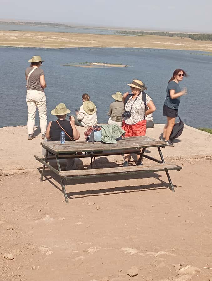 Day Trip to Lake Nakuru National Park from Nairobi - The guide and private-group feel with Sunley safaris