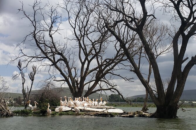 Day Trip to Mt. Longonot with Boat Ride in Lake Naivasha - Who this day trip is best for