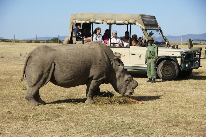 Day trip to Ol Pejeta conservancy from Nairobi - A long Nairobi-to-Ol Pejeta day that’s worth the time