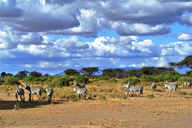 Day Trip - Tsavo East National Park ( Man Eater Lions of Tsavo & Other Big Five) - The 4:30 am coastal drive: the hidden cost of a day trip