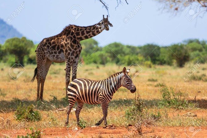 Day Trip - Tsavo East National Park ( Man Eater Lions of Tsavo & Other Big Five) - Entering Tsavo East: dry country, river history, and Yatta Plateau on the horizon