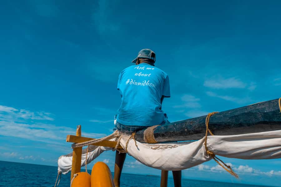 Dhow Adventure to Wasini Island & Kisite Marine Park - Key points you’ll actually care about