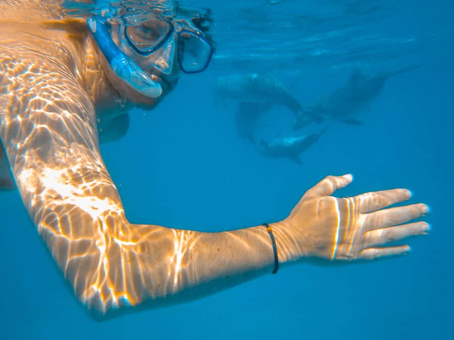 Dhow Adventure to Wasini Island & Kisite Marine Park - Kisite-Mpunguti snorkeling: gear, entry style, and safety