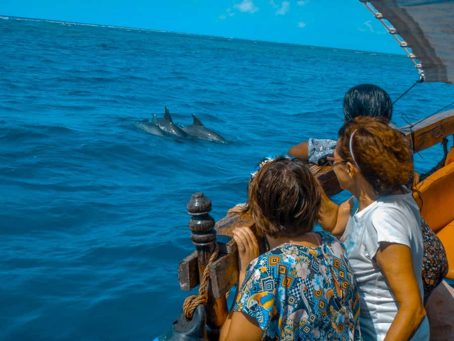 Dhow Adventure to Wasini Island & Kisite Marine Park - Wasini Island lunch and the village walk that adds context