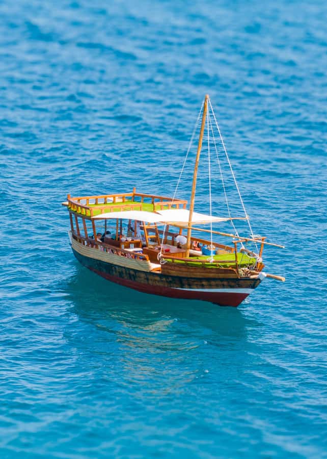 Dhow Adventure to Wasini Island & Kisite Marine Park - Price and value: is $128 a fair deal?