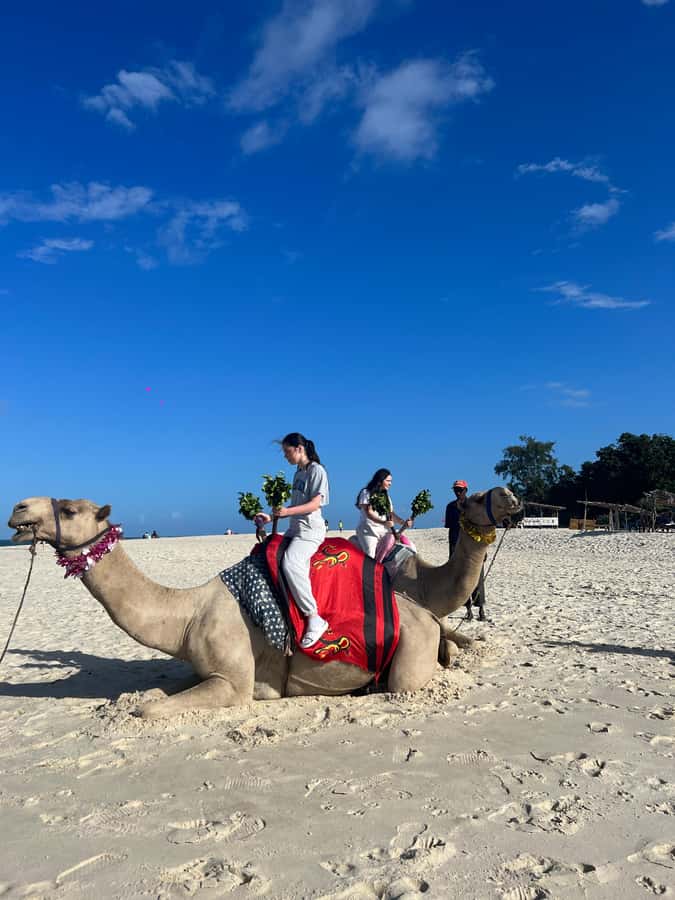 DIANI: BEACH CAMEL RIDE - Key highlights you will actually notice