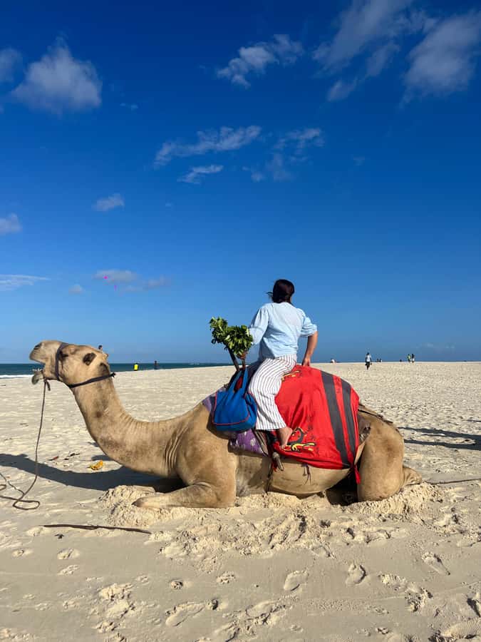 DIANI: BEACH CAMEL RIDE - The 30-minute camel ride: what you’ll see from up high
