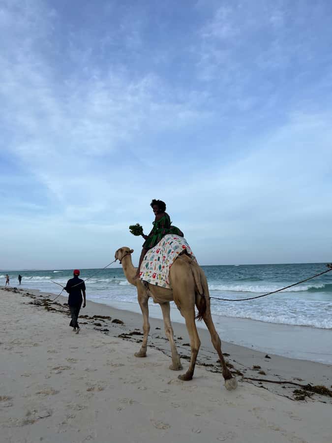 DIANI: BEACH CAMEL RIDE - Starting at Kongo Mosque: the smooth beginning (and the one catch)