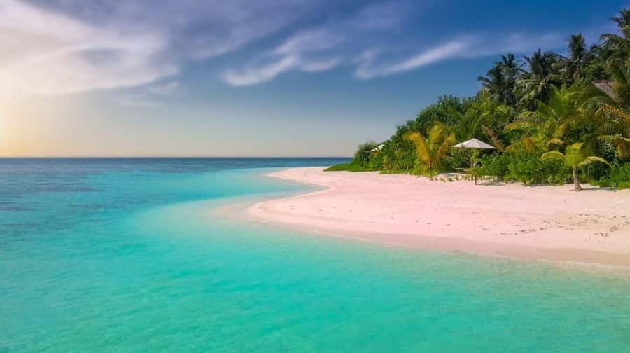 Diani Beach: Funzi Island Day Trip with Lunch - Key Things That Make This Trip Worth It