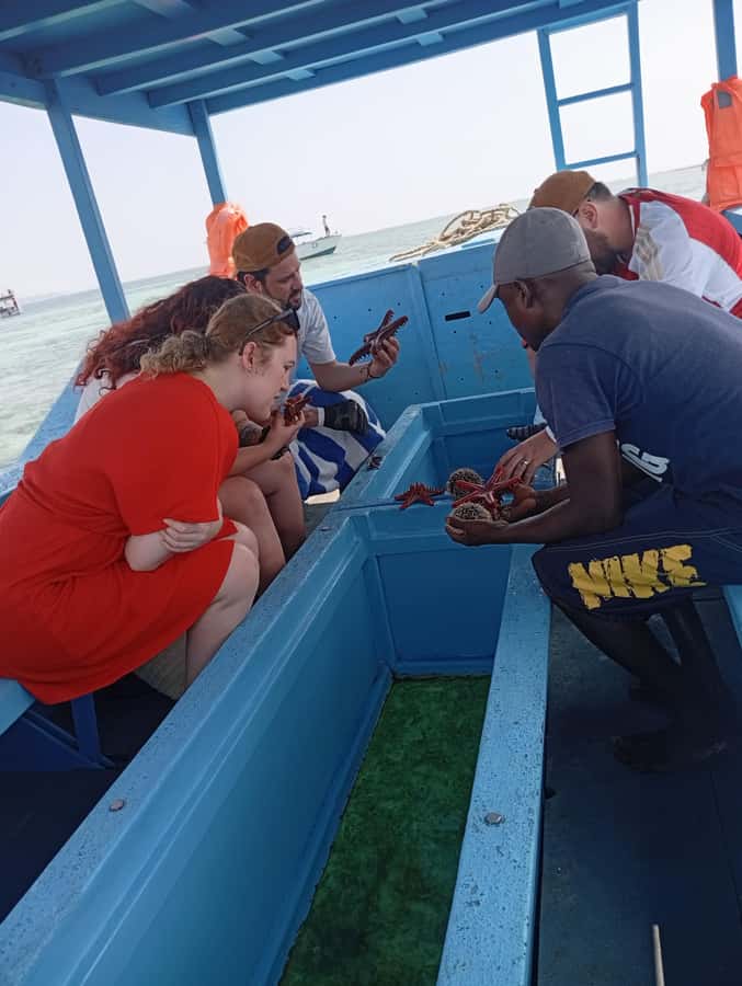 Diani Beach: Glass-Bottom Boat Cruise to Robinson Island - Key things you should know before you go