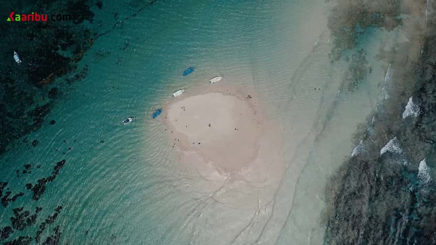Diani Beach: Glass-Bottom Boat Cruise to Robinson Island - Robinson Island sandbank time, why low tide matters