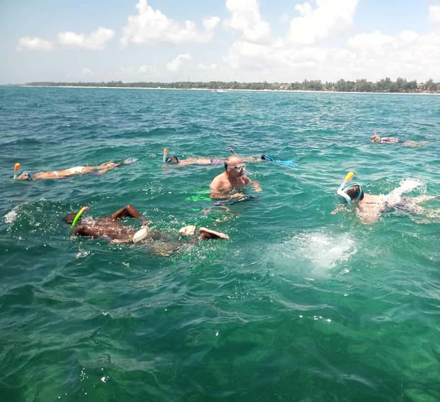 Diani Beach: Glass-Bottom Boat Cruise to Robinson Island - Glass-bottom boat ride along Diani Beach, with real marine-life viewing