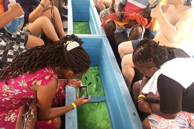 Diani Beach: Glass-bottom Boat Ride with Underwater Show - Key highlights you will actually notice