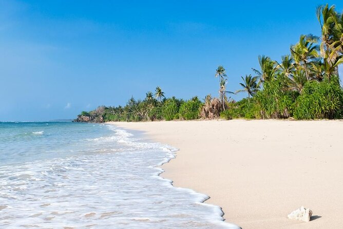 Diani Beach: Glass-bottom Boat Ride with Underwater Show - Price and value: what $30 gets you, and what it does not
