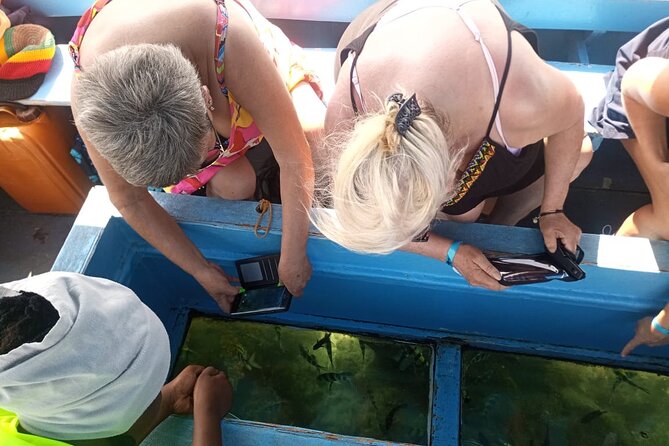 Diani Beach: Glass-bottom Boat Ride with Underwater Show - The captain’s underwater fish show: food, rules, and spectacle