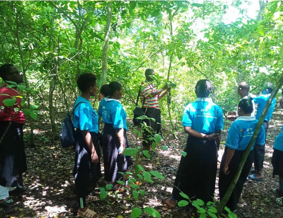 Diani Beach: Kaya Kinondo cultural and nature experience - Sacred forest shrine time: why Kaya is protected by belief